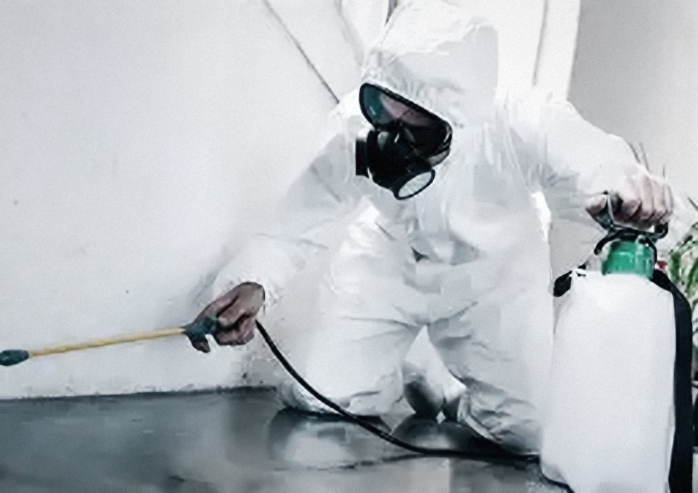 Técnico con equipo de protección aplicando fumigación en un zoclo